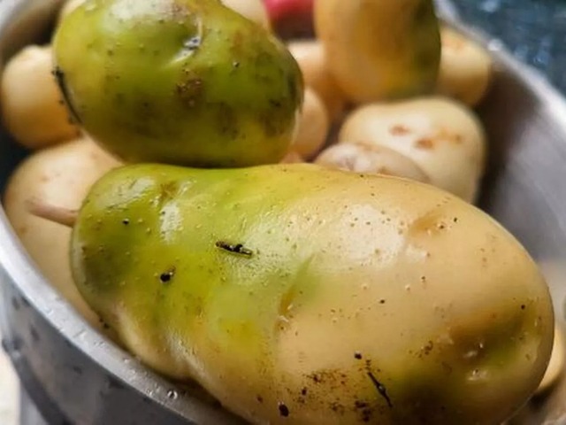 4 loại rau củ đầy độc tố, đã không bổ béo còn phá nội tạng, “cấu kết” với tế bào ung thư nhưng nhà nào cũng có 1 4 loại rau củ đầy độc tố, đã không bổ béo còn phá nội tạng, “cấu kết” với tế bào ung thư nhưng nhà nào cũng có 4 loai rau cu day doc to da khong bo beo con pha noi tang cau ket voi te bao ung thu nhung nha nao cung co