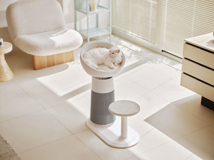 Khi doanh số bị Trung Quốc cạnh tranh dữ dội, đây là động thái sinh tồn của LG để sống sót 1 Khi doanh số bị Trung Quốc cạnh tranh dữ dội, đây là động thái sinh tồn của LG để sống sót