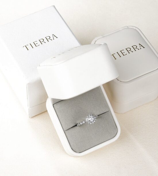 Review trải nghiệm mua nhẫn cầu hôn cá nhân hóa tại TIERRA 1 Review trải nghiệm mua nhẫn cầu hôn cá nhân hóa tại TIERRA