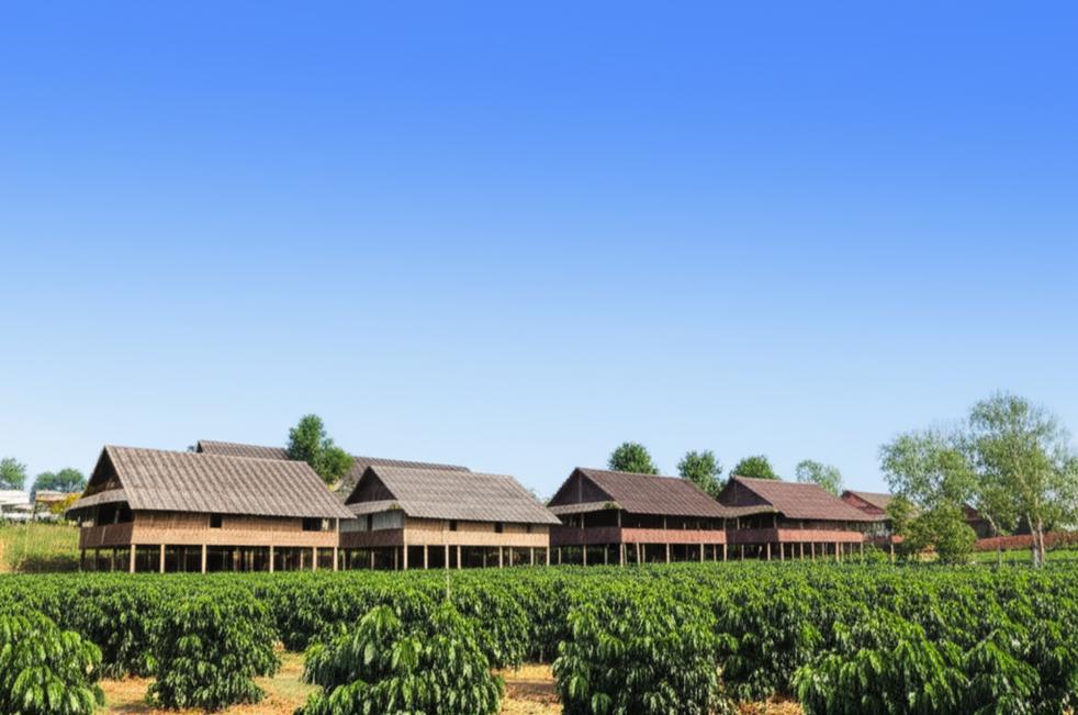 Vé máy bay Buôn Ma Thuột: Giá rẻ, ưu đãi.
