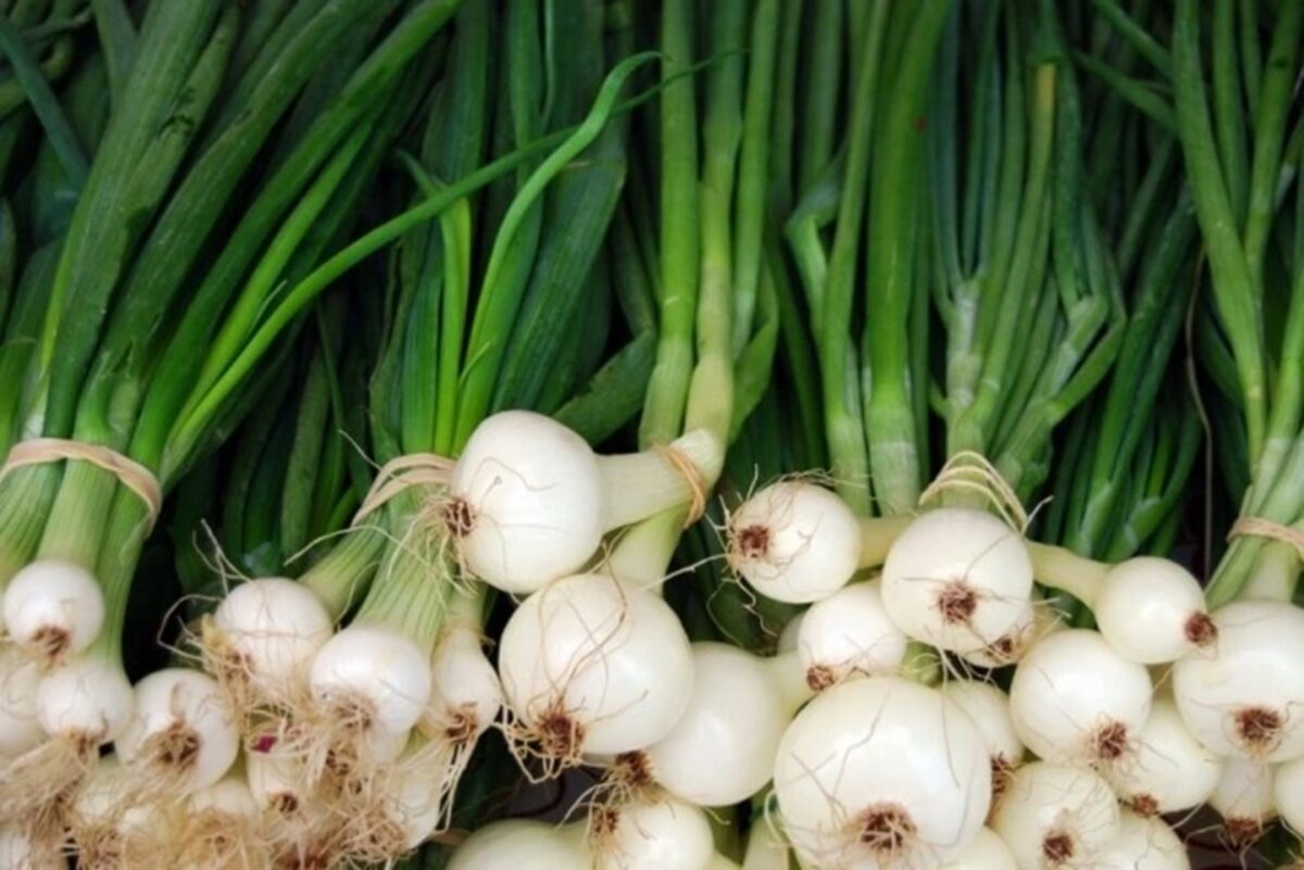 2 loại rau dễ "ngậm" thuốc trừ sâu, cái số 1 nhiều người mê tít