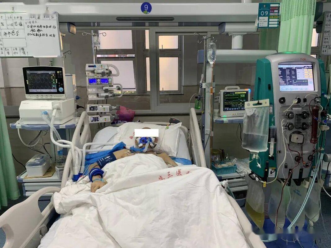 Gia đình 3 người nguy kịch sau khi ăn loại rau này: Bác sĩ nói 1 sai lầm khiến rau nhiễm độc tố cực mạnh 1 Gia đình 3 người nguy kịch sau khi ăn loại rau này: Bác sĩ nói 1 sai lầm khiến rau nhiễm độc tố cực mạnh