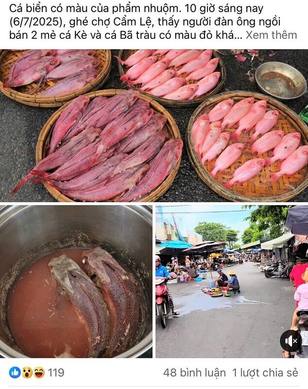 Người dân Đà Nẵng nghi ngờ cá bị nhuộm phẩm, tiểu thương nói rửa bằng nước ngọt 1 Người dân Đà Nẵng nghi ngờ cá bị nhuộm phẩm, tiểu thương nói rửa bằng nước ngọt