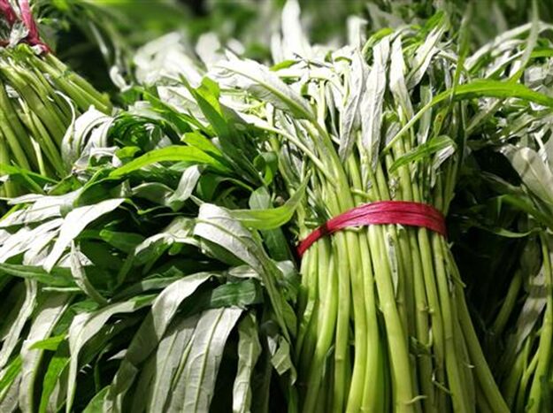 3 loại rau "ngậm thuốc trừ sâu" nhiều nhất chợ, người bán cũng không dám ăn 1 3 loại rau "ngậm thuốc trừ sâu" nhiều nhất chợ, người bán cũng không dám ăn