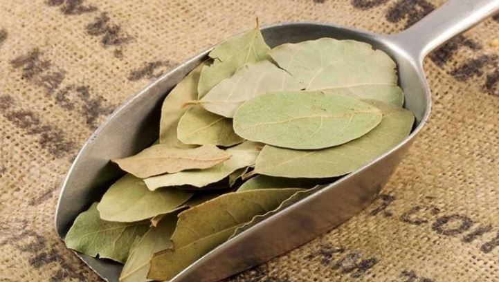 Loại lá ở Việt Nam nhiều người cho nhau miễn phí, ra nước ngoài giá 2 triệu đồng/kg loai la o viet nam nhieu nguoi cho nhau mien phi ra nuoc ngoai gia 2 trieu dong kg